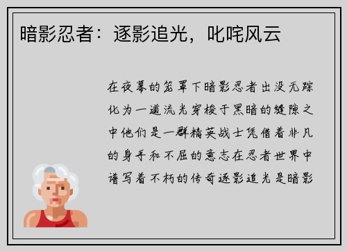 暗影忍者：逐影追光，叱咤风云